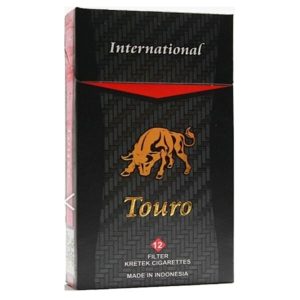 Touro International